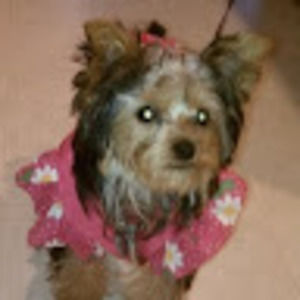 Meet your Posher, Milvia